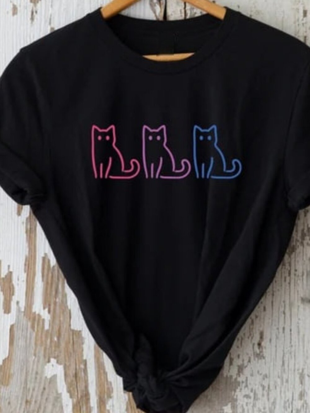 Cute Pride Cat, Bisexual Shirt, LGBTQ Tee, Pride Month Gift